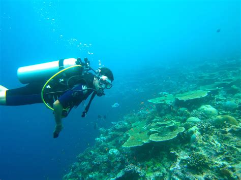 Top 7 Dive Sites In The Maldives - DeeperBlue.com