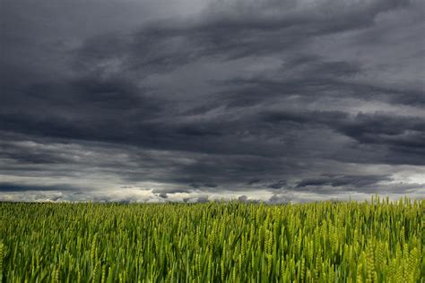 White and Dark Cloud over Green Grass Field · Free Stock Photo