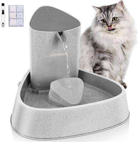 5 Best Battery-Operated Water Bowls for Cats - Birman Cats Guide