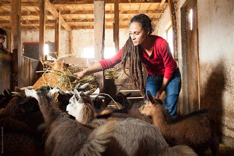 "Woman Feeding Farm Animals." by Stocksy Contributor "Mosuno" - Stocksy