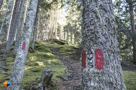 Spring Adventures in Kronplatz - Hiking in Finland