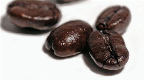 Kona Coffee Grades: How the Grading System Works - Kona Coffee Buzz