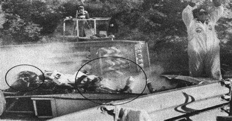 F1 Pilot Helmut Koinigg was decapitated by a delineator in 1974 : WTF