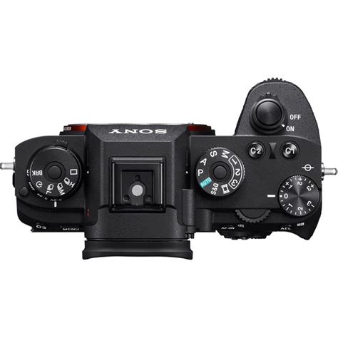 Sony Alpha 9 review - GottaPics