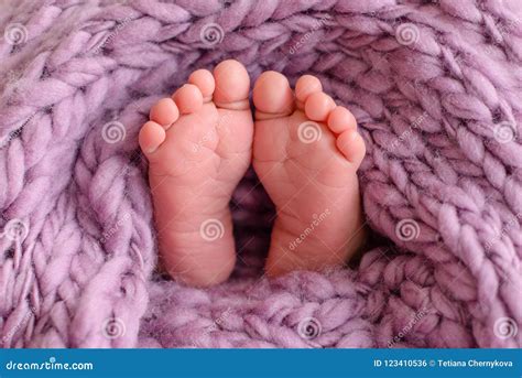 Baby Feet Stock Images - Download 24,619 Royalty Free Photos