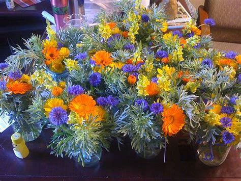 The Month of the Marigold: The October Birth Flower – Avas Flowers