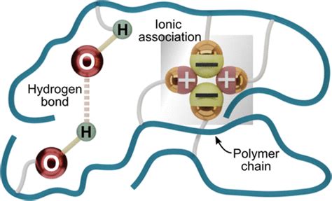 Transformation of Epoxidized Natural Rubber into Ionomers by Grafting ...