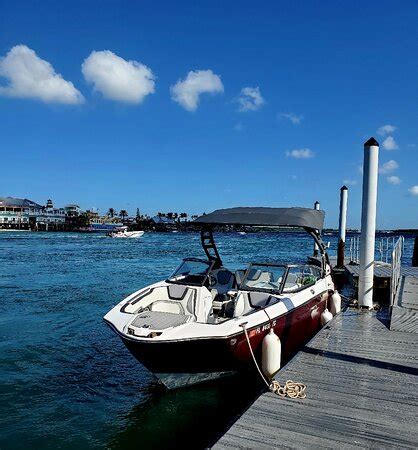 Gulls ahoy! - Review of Crabby's On The Pass, Treasure Island, FL - Tripadvisor