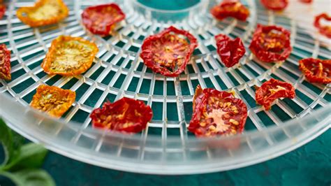 10 Great Benefits of Food Dehydrating - Dehydrator Spot