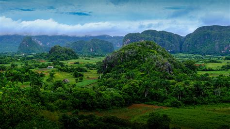 Fondos de Pantalla 1920x1080 Cuba Campos Vinales Roca Arecaceae Naturaleza descargar imagenes