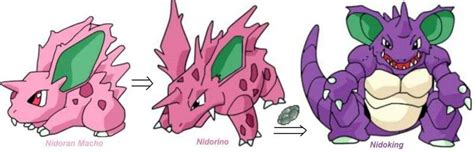 Pokemon Nidoran Evolution Chart