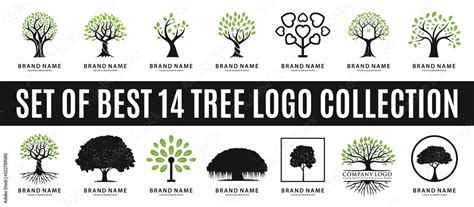 set of best tree logo collections, perfect for company logo or branding. Stock Vector | Adobe Stock