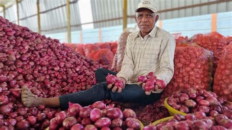 Onions in India a political nightmare. Govt only has band-aid solutions ...