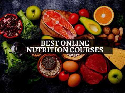 10 Best Online Nutrition Courses - ECourseReviews