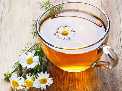 Harvesting and Drying German Chamomile (Manzanilla) for Chamomile Tea - Welcome to Todd's Seeds