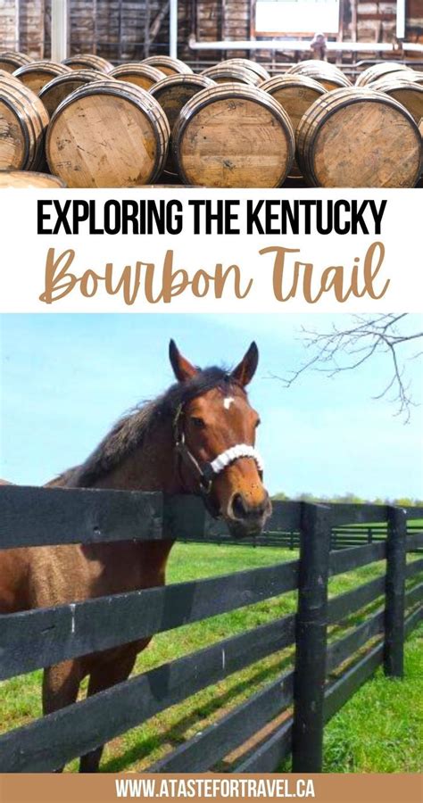 Kentucky bourbon trail – Artofit