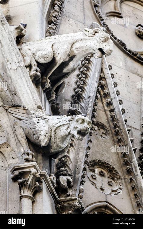 Gargoyles of Notre Dame cathedral in Paris Stock Photo - Alamy