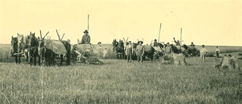 Bonanza Farms | Fargo History