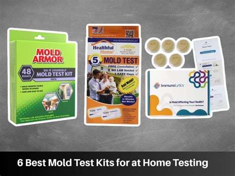 6 Best Mold Test Kits for at Home Testing