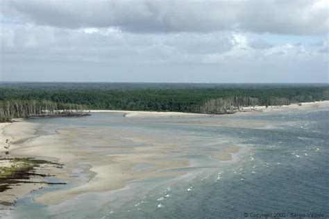 Ilha Maracá - Foto: Sergio Veludo | O turista, Ilha de marajó, Turístico