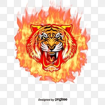 Fire Tiger PNG, Vector, PSD, and Clipart With Transparent Background for Free Download | Pngtree