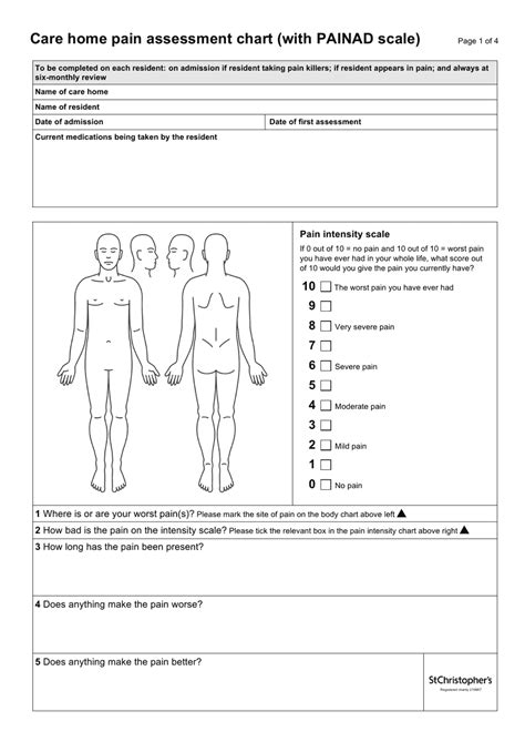 Care Home Pain Assessment Chart (With Painad Scale) Download Printable ...