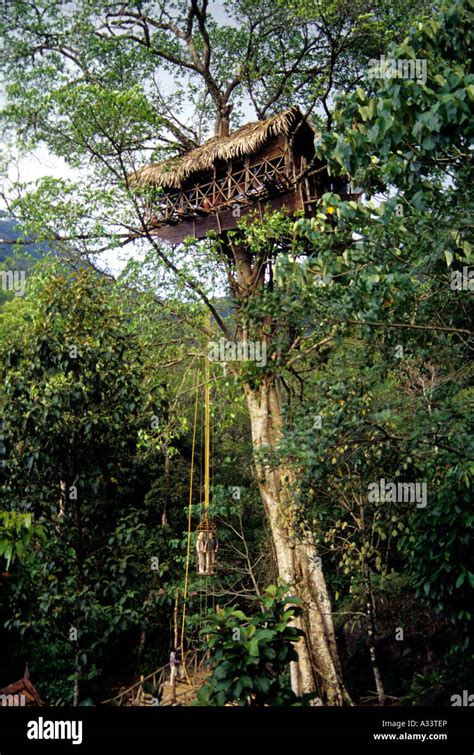 TREE HOUSE IN VYTHIRI WAYANAD KERALA Stock Photo - Alamy