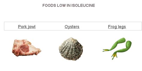 Foods low in Isoleucine