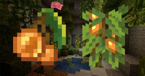 Minecraft: Glow Berries Guide