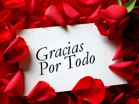 Gracias por Todo | Mensaje con una Rosa - Imagenes y Carteles