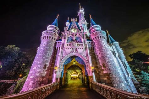 5 Reasons We Absolutely Love Walt Disney World's Magic Kingdom ...