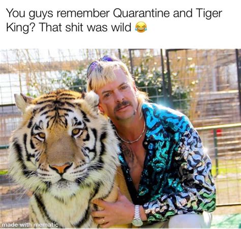 The 32 Best Tiger King Memes (So Far) | Darcy