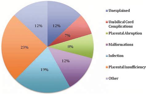 Distribution of causes of stillbirth (Gravett et al. 2010) | Download Scientific Diagram