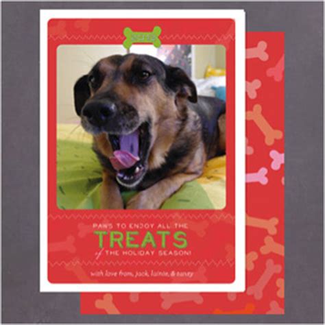 Cutest pet holiday cards from around the web