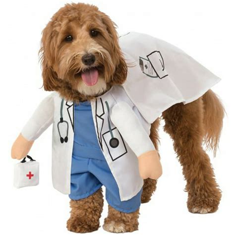 Walking Vet Animal Doctor Dr. Pet Dog Cat Halloween Costume-XL ...