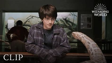 Harry and the Snake | Harry Potter and the Philosopher's Stone - YouTube