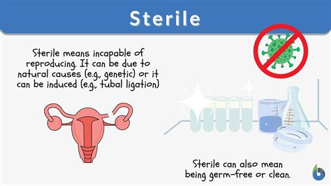 How To Be Sterile - Understandingbench16