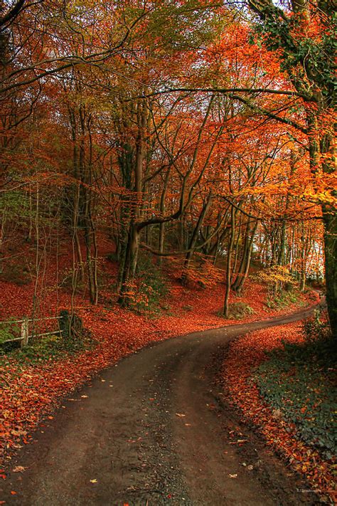 An English Autumn Photograph by Sarah Broadmeadow-Thomas