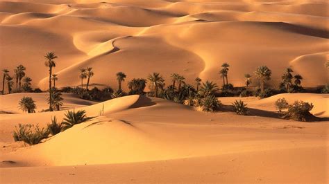 Desert Saudi Arabia Wallpapers - Top Free Desert Saudi Arabia Backgrounds - WallpaperAccess