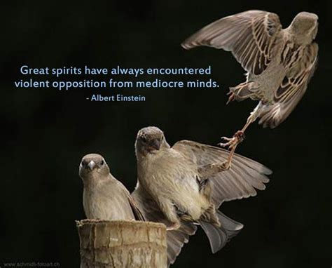 Great Spirit Quotes. QuotesGram