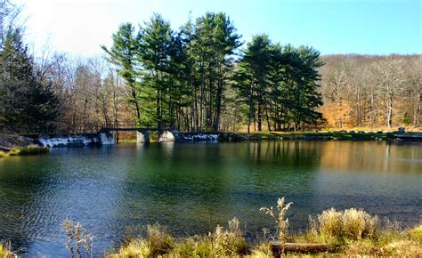 Allegany State Park, a New York State Park located near Bradford, Warren