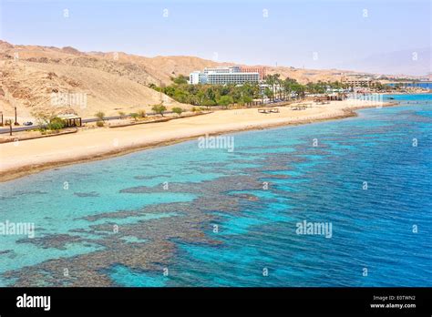 Coral reef in the Gulf of Eilat Red Sea Stock Photo - Alamy