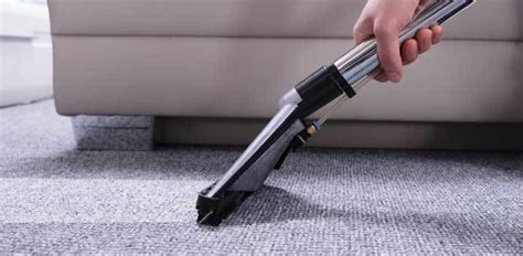 Best Carpet Cleaning Machine’s for Pet Urine | Daily Dog