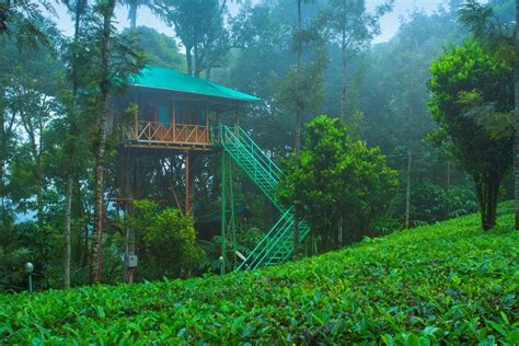 DREAM CATCHER PLANTATION RESORT $80 ($̶1̶2̶2̶) - Updated 2022 Prices & Hotel Reviews - Munnar, India