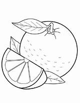 Grapefruit Coloring Pages Free Printable PDF sketch template