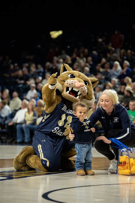 Montana State Bobcats (@MSUBobcats) / Twitter