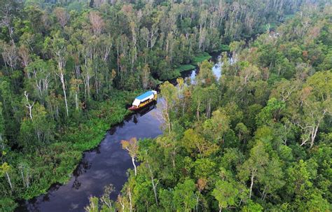 Tanjung Puting National Park: How to Get There – BE BORNEO