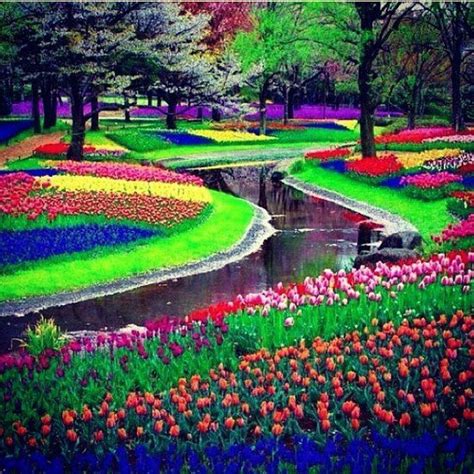 Keukenhof Garden Amsterdam | Beautiful gardens, Beautiful places, Beautiful places in the world