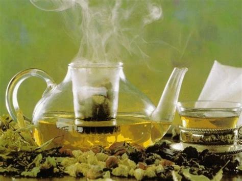 Buy Wormwood Tea: Benefits, Side Effects, How To Make