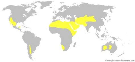 Desert Biome - Map/Quiz